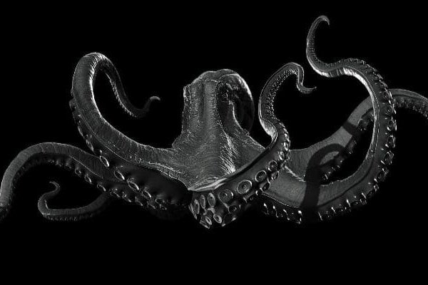 Kraken 18at