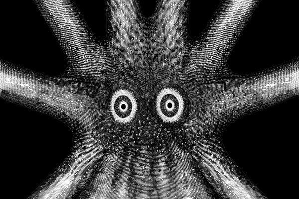 Kraken darknet ссылка тор