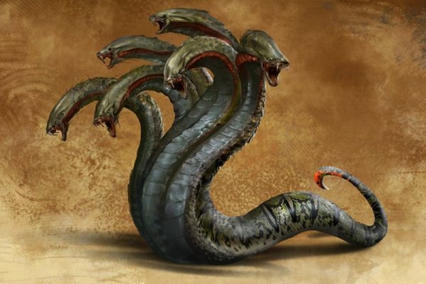 Kraken20 at