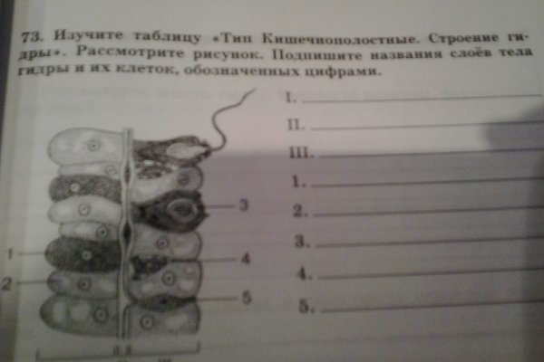 Аналог гидры