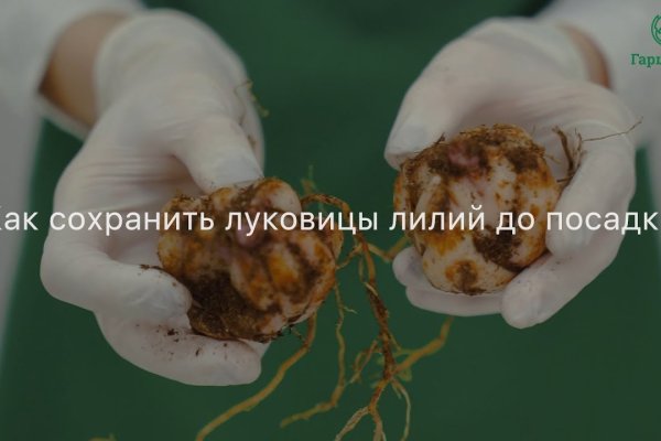 Что такое кракен только через тор
