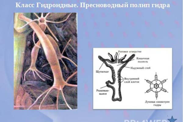 Kraken market зеркала