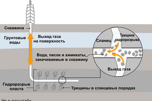 Значок кракена маркетплейса