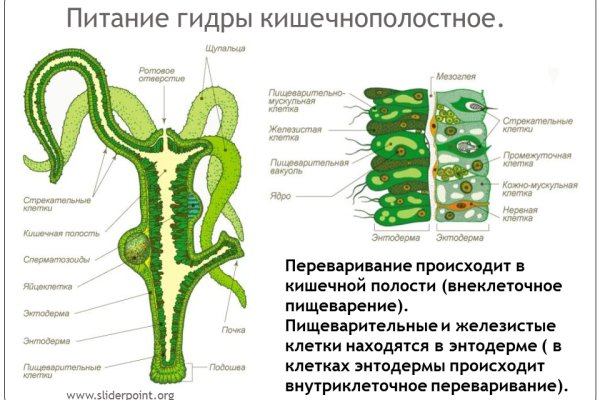Кракен даркнет зеркало