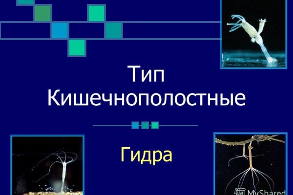 Kraken россия