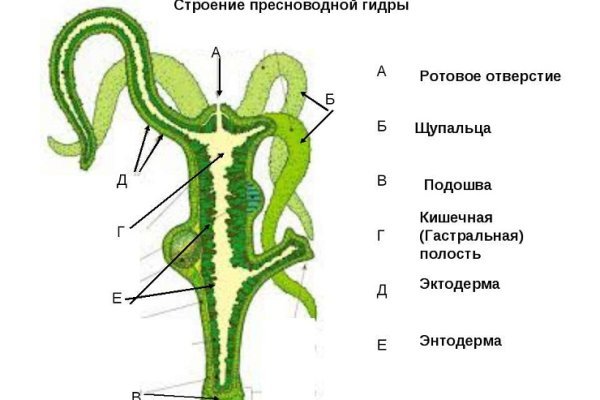 Кракен зеркало 2