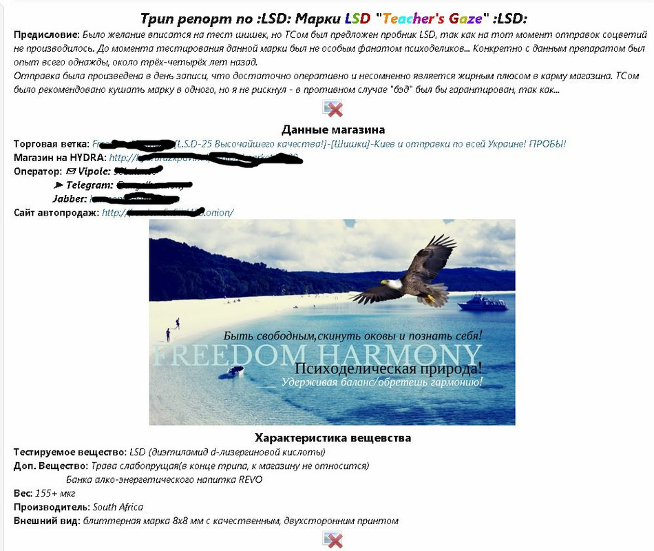 Кракен браузер